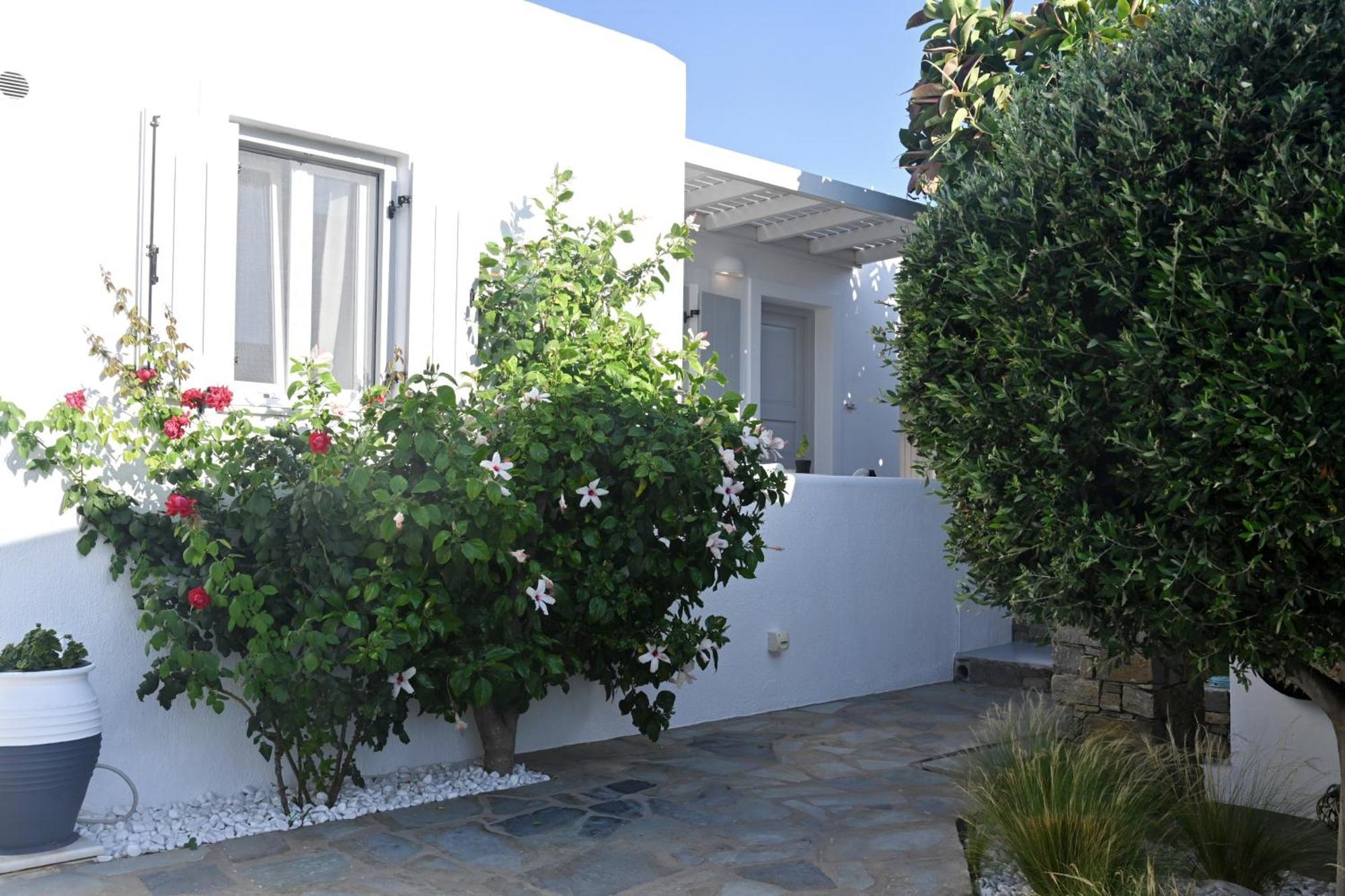 Corina Studios-Apartments Zambujeira do Mar Dış mekan fotoğraf